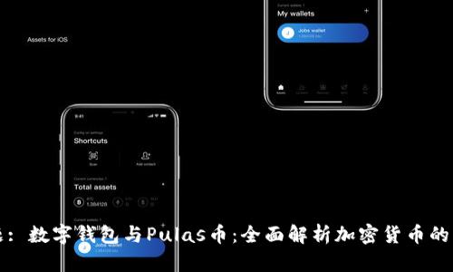 标题: 数字钱包与Pulas币：全面解析加密货币的未来