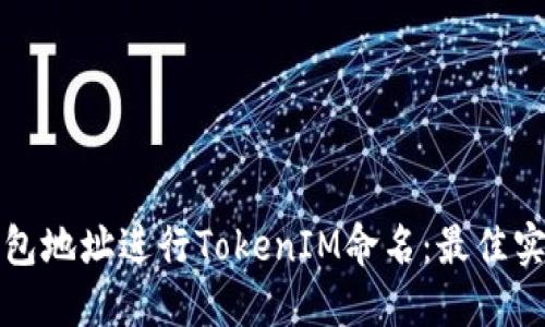 如何为钱包地址进行TokenIM命名：最佳实践与技巧