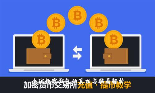 全球数字钱包的真相与骗局解析