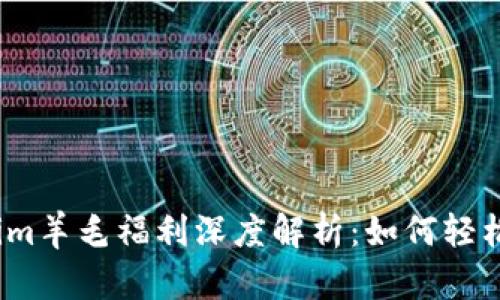 2023年Tokenim羊毛福利深度解析：如何轻松赚取额外收益