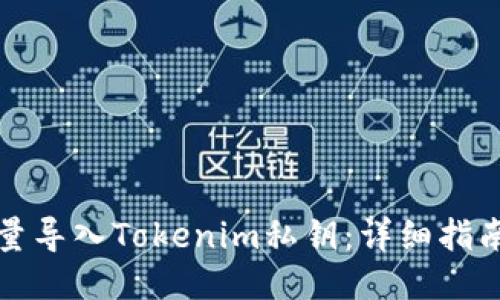 标题
如何批量导入Tokenim私钥：详细指南与技巧