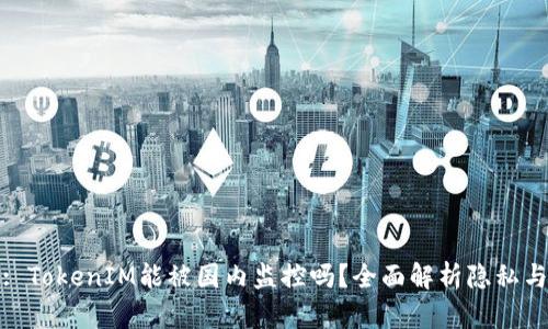 标题: TokenIM能被国内监控吗？全面解析隐私与安全