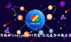 如何找回Tokenim EOS钱包：忘