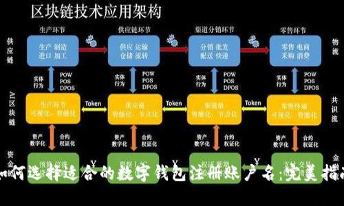 如何选择适合的数字钱包注册账户名：完美指南