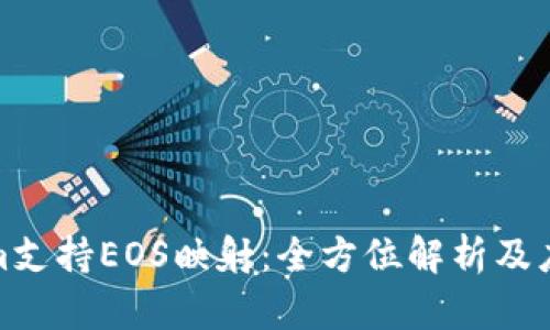 Tokenim支持EOS映射：全方位解析及应用案例