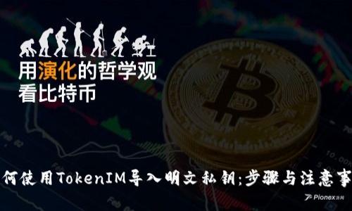 如何使用TokenIM导入明文私钥：步骤与注意事项