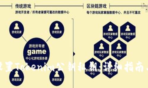 如何设置Tokenim公钥私钥：详细指南与步骤