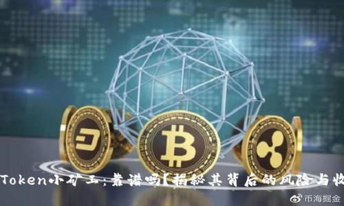 imToken小矿工：靠谱吗？揭秘其背后的风险与收益