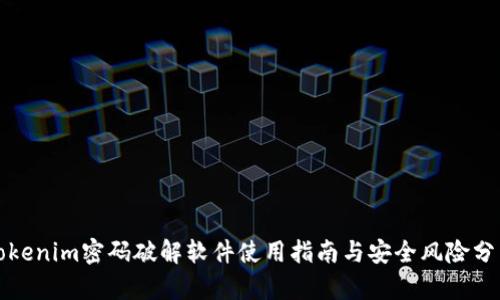 Tokenim密码破解软件使用指南与安全风险分析