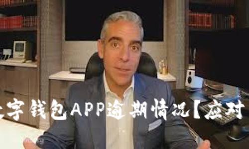 如何处理数字钱包APP逾期情况？应对策略与建议