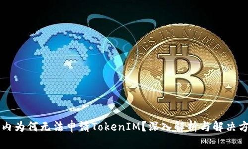 国内为何无法申请TokenIM？深入解析与解决方案