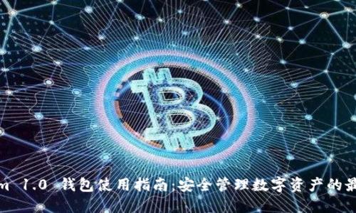 Tokenim 1.0 钱包使用指南：安全管理数字资产的最佳选择