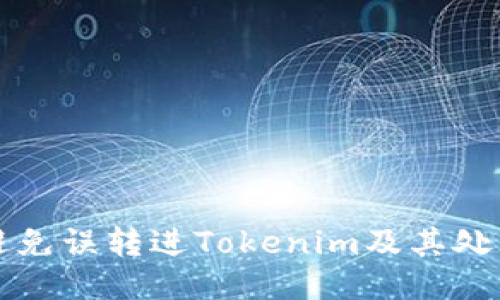 如何避免误转进Tokenim及其处理指南