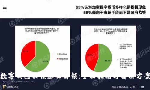 数字钱包被锁怎么解锁：全面指南与解决方案