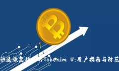 怎样快速恢复被盗的Tokenim U：用户指南与防范措