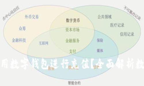 在什么场合可以使用数字钱包进行充值？全面解析数字钱包的应用场景