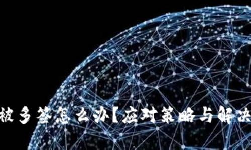 TokenIM被多签怎么办？应对策略与解决方案详解