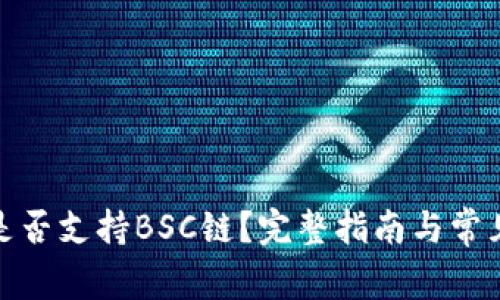 TokenIm是否支持BSC链？完整指南与常见问题解答