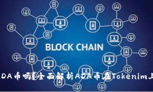 Tokenim能保存ADA币吗？全面解析ADA币在Tokenim上的支持与安全性