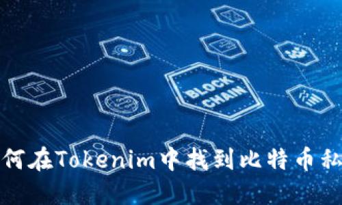 如何在Tokenim中找到比特币私钥