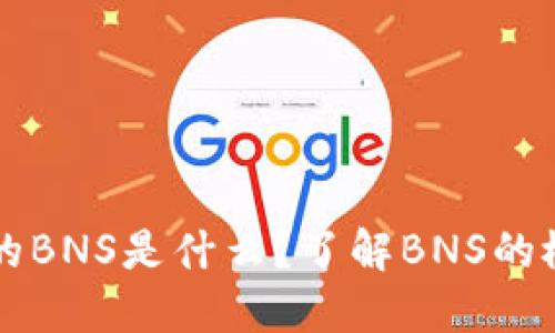 冷钱包中的BNS是什么？了解BNS的概念与作用